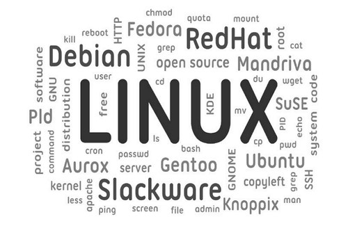 [리눅스 서버 구축하기] 2. 리눅스 배포판의 종류와 특징